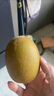 佳沛（zespri）新西兰  阳光金奇异果18粒超大果原箱单果重约173-204g 猕猴桃 实拍图