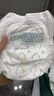 babycare艺术大师拉拉裤成长裤XL码28片(12-17kg) 婴儿尿不湿瞬吸干爽透气 实拍图