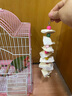 宠易生墨鱼骨鹦鹉啃咬串鸟类用品鸟零食鹦鹉磨牙解闷玩具8粒 实拍图
