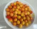 颜曼箐黄蜜樱桃车厘子 【JD/顺丰-送货上门】山东/大连大樱桃黄水晶 2斤(净重) S+级 甄选果 实拍图