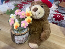 范爷家小熊玩偶花束仿真花毛线针织成品永生花礼品送女友闺蜜生日礼物 实拍图