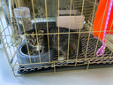 亿迪 冻干猫粮幼猫成猫10斤全价布偶蓝猫英短成年全阶段 实拍图