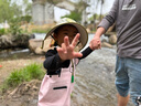 熊火儿童玩水下水裤赶海水库连体水裤水鞋半身防水服下水裤半身裤子 儿童浅粉色小熊卡通背带裤 28 实拍图