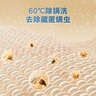【原研进口】仙特明 盐酸西替利嗪滴剂 5ml:50mg/盒 家中常备 实拍图