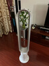 戴森（Dyson）AM07 无叶电风扇 落地扇 强劲稳定气流 进口空气循环扇 银白色 实拍图