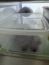 家の物语冰箱收纳盒日本进口保鲜盒食品级密封水果盒冷冻饺子厨房收纳神器 冰箱保鲜盒（日本制） 3L 3件套 实拍图