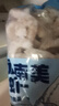 鲜京采【京东虾仁品质保障】精选南美白虾仁 无冰净重2斤 90-110只 实拍图