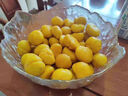 亨迅丹东板栗新鲜生栗子2025年生板栗应季时令蔬菜 优选净重 4.5斤 装 实拍图