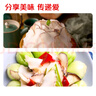 海文铭深海黄金螺片螺肉300g 加热即食 麻辣烫火锅食材涮煮凉拌小菜 实拍图