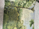 【科目系列任选】2026新版一本预备新初一二三预备小四门初中七八九年级语文数学英语课本预习笔记暑假作业初中语数英基础知识语数英自测练习题初中教辅书 【单本装】新初一小四门 实拍图