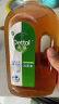 滴露（Dettol）洗衣消毒液衣物消毒水750mL除螨 家居宠物地板杀菌 非84酒精 实拍图