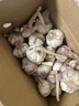 精选新鲜山东大蒜干蒜多瓣蒜头蔬菜批发产地直发大蒜头 优选 5斤 (果径≥3.5cm) 实拍图