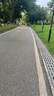 米其林（MICHELIN）汽车轮胎 215/50R17 95W 浩悦四代 PRIMACY 4 适配英朗/科鲁兹 实拍图