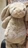 Jellycat害羞米色邦尼兔毛绒玩具柔软安抚玩偶公仔送礼潮玩娃娃生日礼物 米色 Medium 实拍图