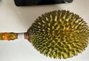帝一榴 DKINGZ猫山王榴莲D197整果AAA级液氮冷冻正宗马来西亚树熟进口顺丰包邮 A级精选2.7-3.2斤（保四房） 实拍图