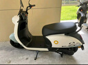 新日电动车72V20Ah铅酸电池100km长续航电动摩托车大功率电摩通勤代步电瓶车丽曼5.0 本彩浅米白/本彩烟灰绿-60V 实拍图