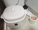 九阳（Joyoung）电炖盅 电炖锅 隔水炖煮 家用煮粥煲汤锅燕窝炖盅4.5L白瓷内胆炖汤锅上蒸下炖DG25G-GD188 实拍图