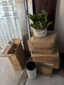 双盟绿萝盆栽除甲醛花卉绿植办公室新房净化空气180白竖纹4盆源头直发 实拍图