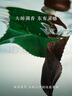阿玛尼玉龙茶香50ml 男女中性清新香水礼盒 礼盒纪念日生日礼物女 实拍图