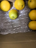 佳沛（zespri）新西兰 阳光金奇异果12粒礼盒特大果单果约122-146g 猕猴桃 水果 实拍图