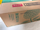 农夫山泉 东方树叶茉莉花茶335ml*24瓶 无糖茶饮料 整箱装 实拍图