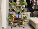 丝竹阁花架置物架阳台落地式创意客厅多肉实木多层网红花盆靠墙绿萝架子 A字原色9层【升级带轮】 实拍图