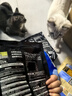 雷米高（RAMICAL）澳丽得 猫粮蓝猫英短主粮幼猫成猫海洋鱼味全价猫粮试吃500g 1斤 实拍图