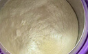 雀巢（Nestle）【超值加量装】新品 超启能恩部分水解配方奶粉3段12-36月850g 实拍图