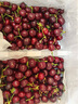 京觅大连美早樱桃车厘子 J级净重1.8斤 单果6-8g 水果源头直发 实拍图