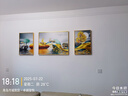 Sixpoetry 客厅装饰画现代简约沙发背景墙壁画轻奢三联晶瓷画大气高档挂画 福禄双收（铝合金外框） 晶瓷画左右40*60+中间80*60亮面 实拍图