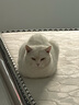 多特思(DOTUS) 猫零食猫条金枪鱼味15g*100支成猫幼猫咪零食湿粮 实拍图