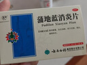 云南白药蒲地蓝消炎片清热解毒抗炎消肿咽炎扁桃体炎0.3g*24片*2板 实拍图