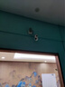 TCL4g监控无线摄像头室内无需连wifi终身免流量手机远程监控器360度无死角带夜视家用插电不用网络 实拍图