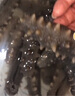 獐子岛 大连即食海参1斤 12-16头 冷冻底播辽刺参 海鲜生鲜水产送礼 实拍图