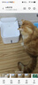 米家无线智能宠物饮水机2 小米猫咪饮水机喂水器自动循环 猫咪喂水机 实拍图
