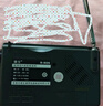 德生（Tecsun） R-909老年人全波段收音机广播半导体便携式老人指针迷你FM收音机 标配 实拍图