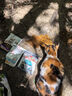 皇家成猫猫粮 泌尿道呵护 U31 1岁以上  50g*3 实拍图