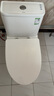 九牧（JOMOO）11173-2-1/31KB-3大力神普通马桶家用虹吸抗菌节水坐便器305坑距 实拍图