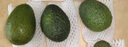 京鲜生 秘鲁进口牛油果 大果4粒装 单果130g+（非即食） 生鲜水果 实拍图
