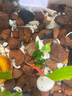 森森 超白玻璃小鱼缸HWK-600P裸缸款水草缸金鱼缸小型水族箱水草缸  实拍图
