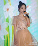 唐努乌（Tang Nu wu）高端法式晚礼服女毕业新款成人礼服演出服宴会气质声乐艺考长裙 香槟色 M 【95-105斤】 实拍图