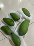 三萌果蔬广东石硖储良龙眼【顺丰冷链-多地隔日达】新鲜龙眼桂圆礼盒送礼 3斤储良龙眼【较划算】净重2.6斤 【顺丰】7A级|特级果【自吃推荐】 实拍图