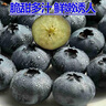 怡颗莓Driscoll's当季云南蓝莓Jumbo超大果18mm+ 4盒装125g/盒生鲜水果 实拍图