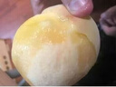 现货顺丰正宗无锡阳山水蜜桃水果桃子生鲜新鲜毛桃礼盒大果16个 12个 中果丨单果4-5两丨精选好果 实拍图