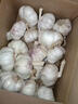 京鲜生山东金乡大蒜带皮新鲜干蒜净重3斤单果5.5cm起 源头直发包邮 实拍图