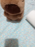 卡皮巴拉毛绒玩具公仔儿童生日礼物女孩情人节礼物水豚毛绒玩偶 卡皮巴拉公仔 1个装（新人专享） 实拍图