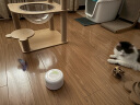 all for paws感应蝴蝶飞飞 自动逗猫玩具电动逗猫棒 猫咪玩具 智能感应自动 实拍图