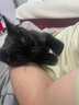 麦富迪宠物猫零食猫湿粮 成幼猫通用天然纤维元气肉泥混合装55g*6 实拍图