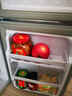 香雪海小冰箱迷你小型家用  冷藏冷冻两用宿舍寝室出租房用二门双门电冰箱节能省电 42S118E银色 双门一级能效 实拍图