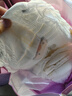 碧芭宝贝【新升级】疯狂动物迷婴儿训练裤超薄透气尿不湿 XL码-18片(12-17kg) 实拍图